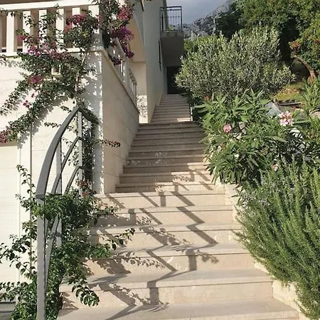 J&j ماكارسكا