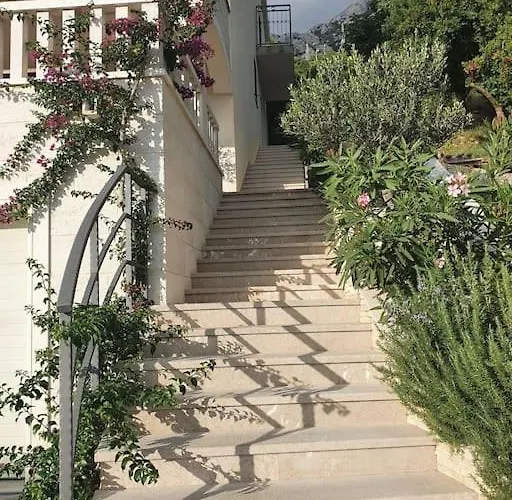 J&j ماكارسكا